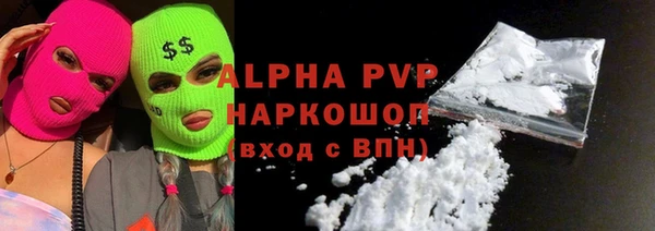 шишки Аркадак