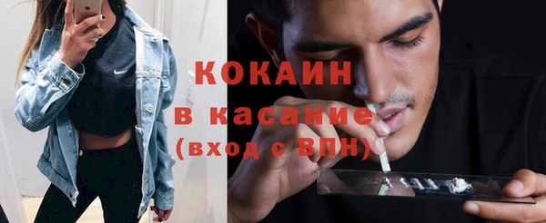 шишки Аркадак