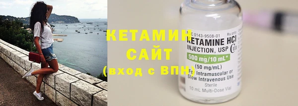 шишки Аркадак