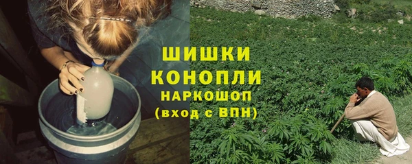 шишки Аркадак
